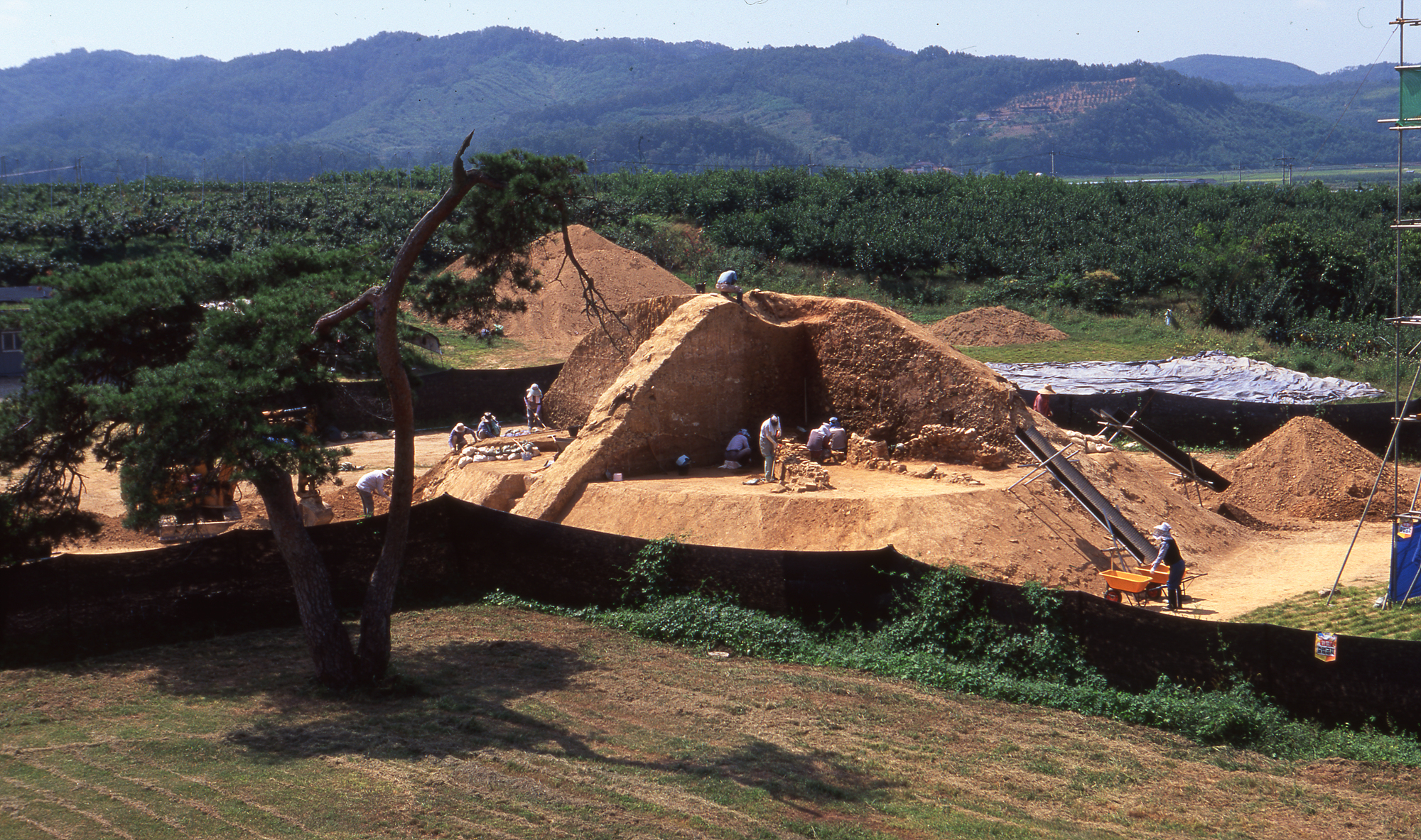 다운로드 불가 이미지