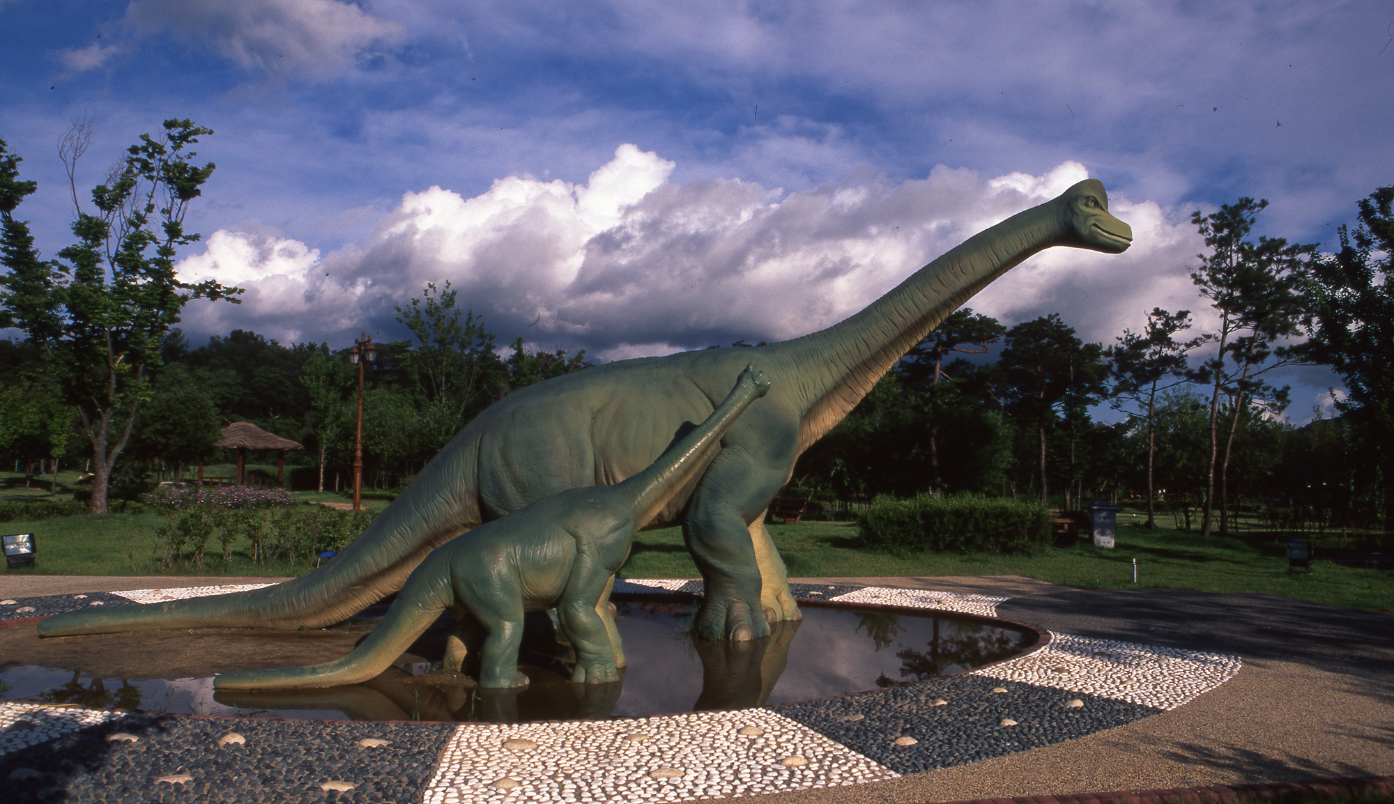 다운로드 불가 이미지