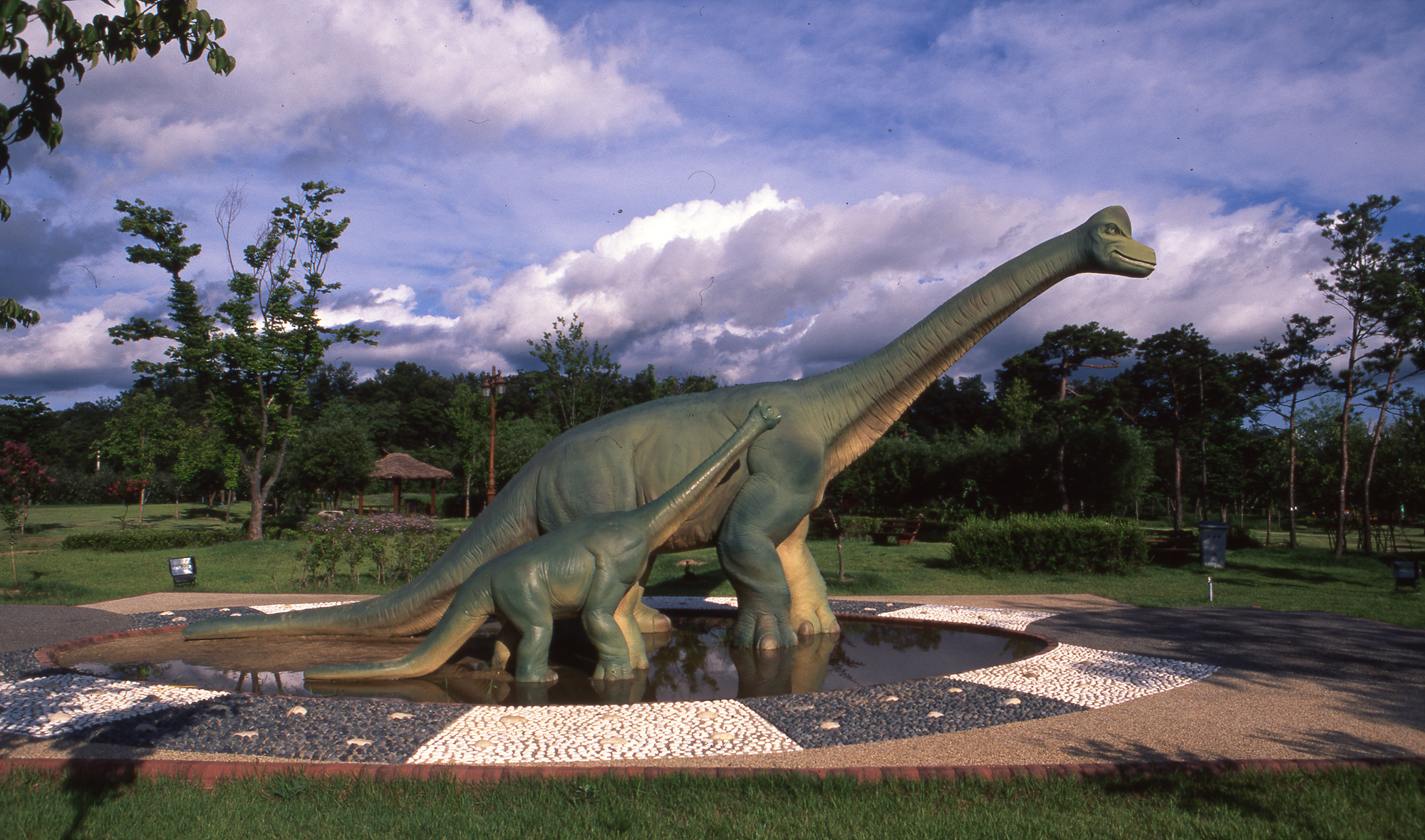 다운로드 불가 이미지