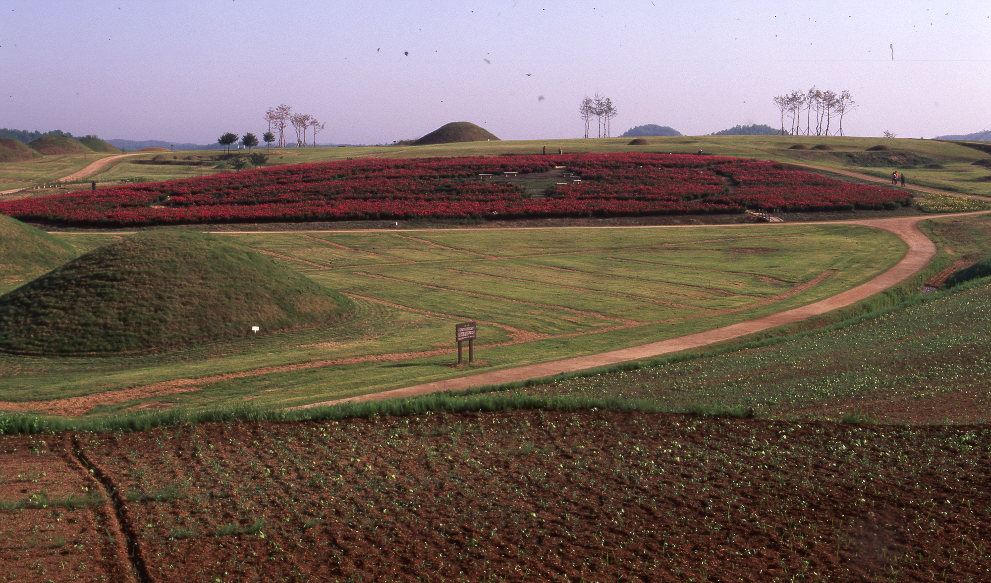 다운로드 불가 이미지