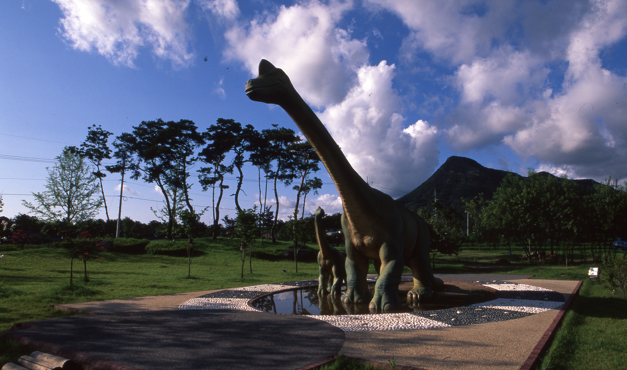 다운로드 불가 이미지