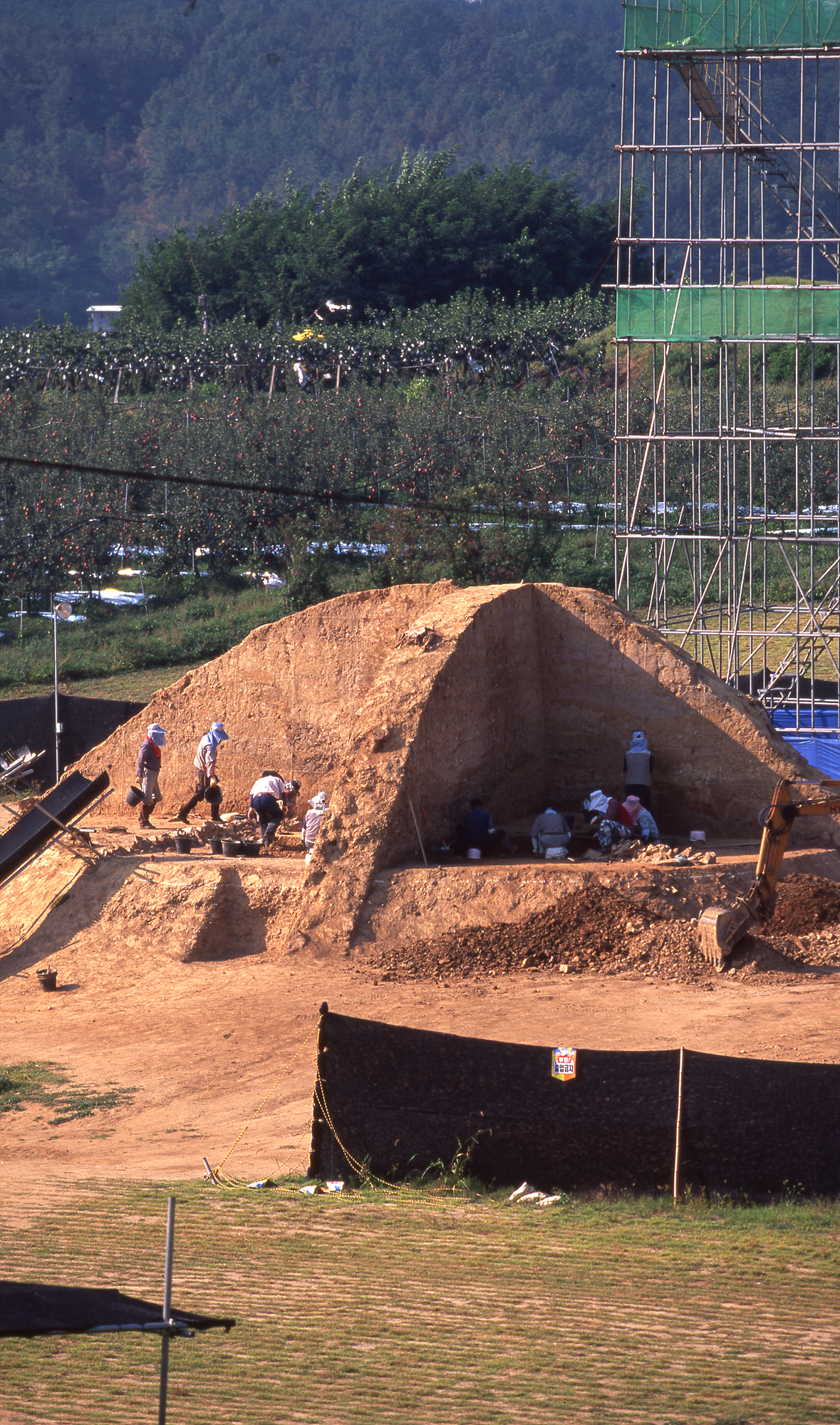 다운로드 불가 이미지