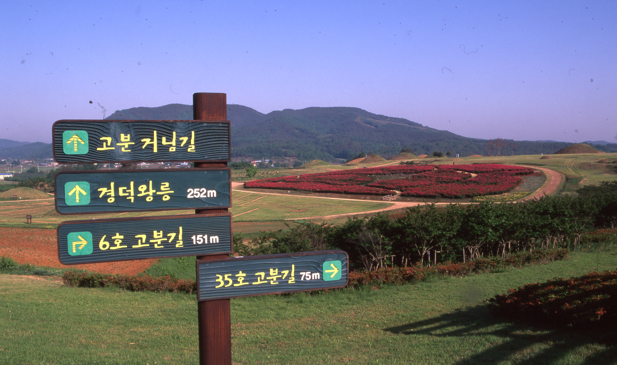 다운로드 불가 이미지