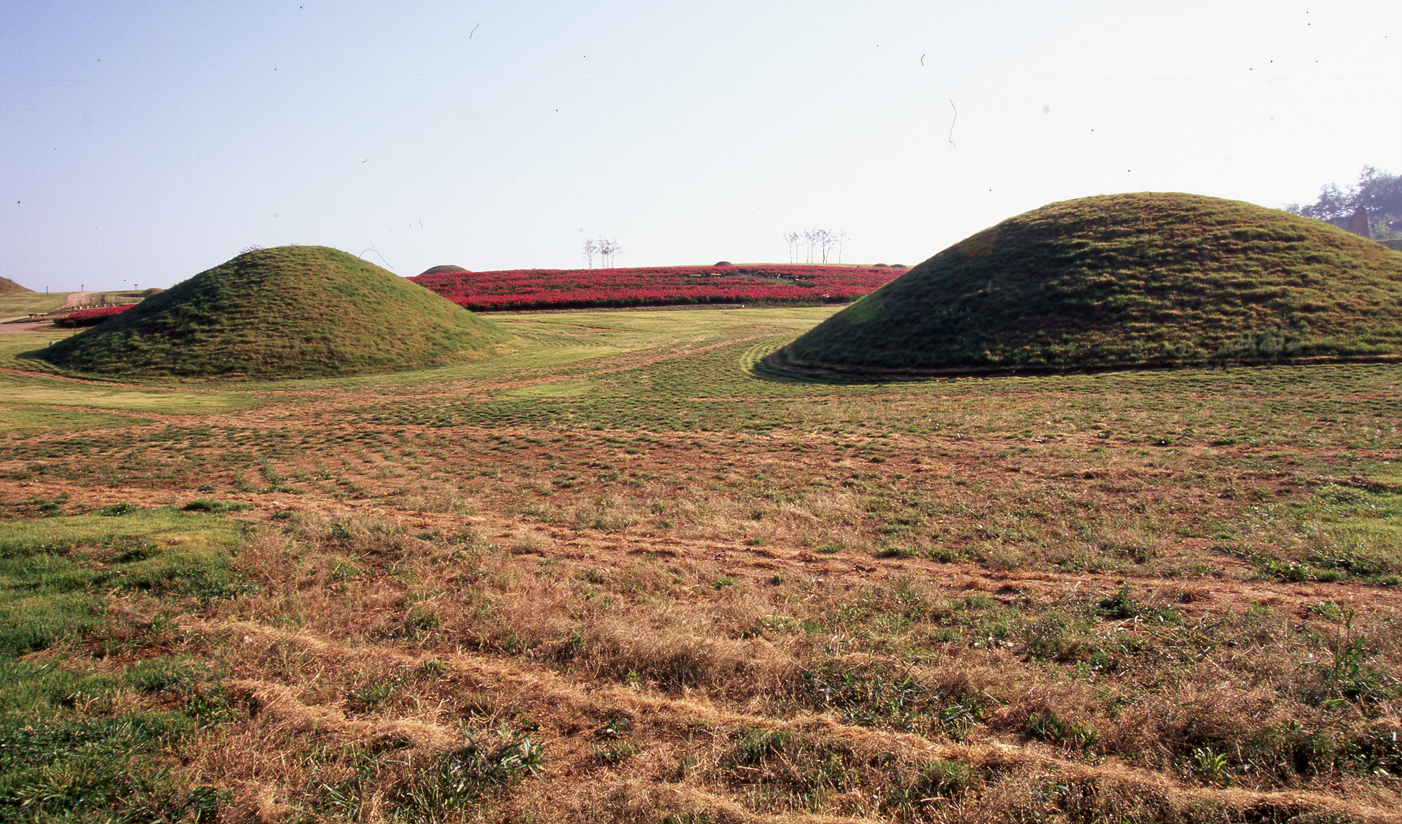 다운로드 불가 이미지