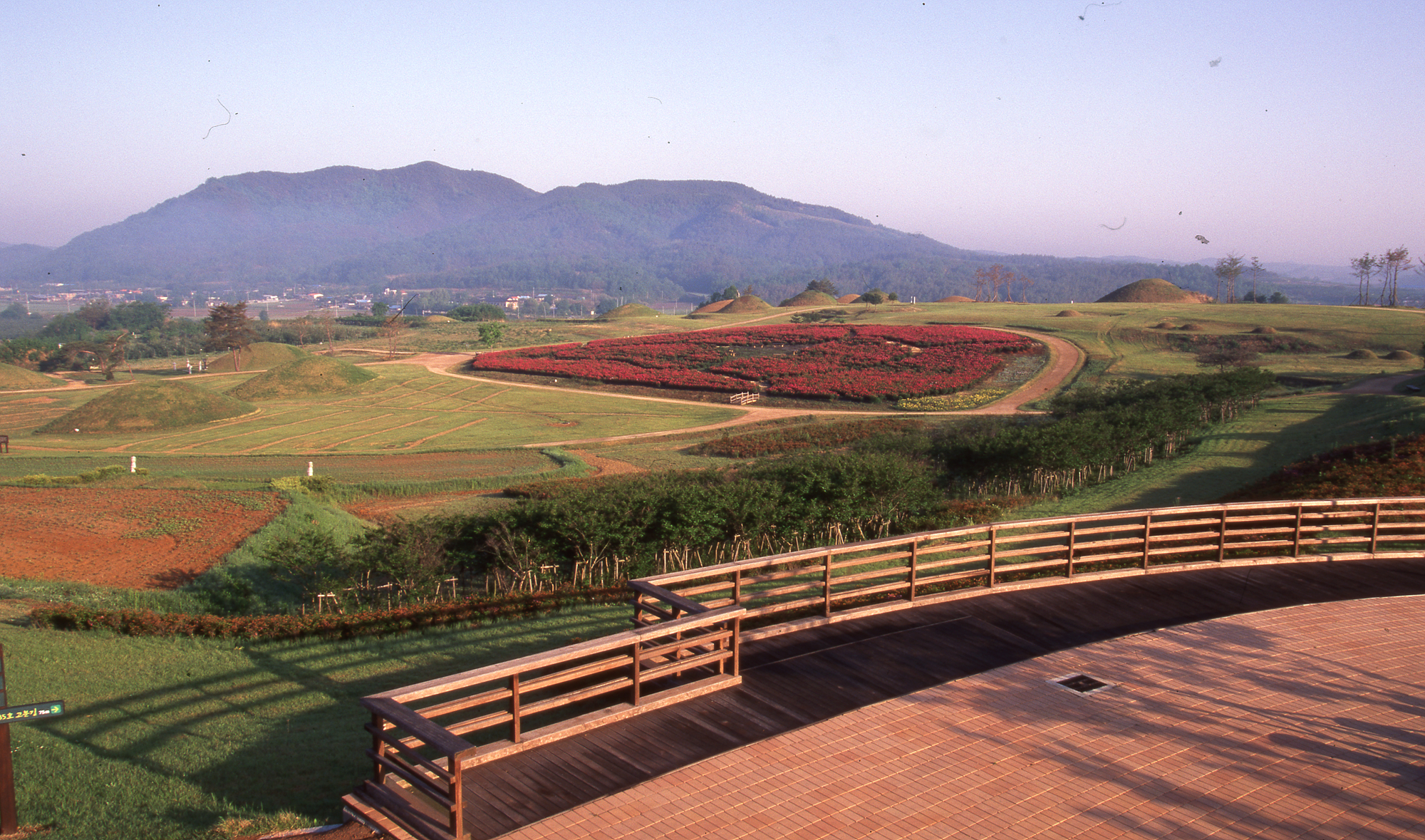 다운로드 불가 이미지