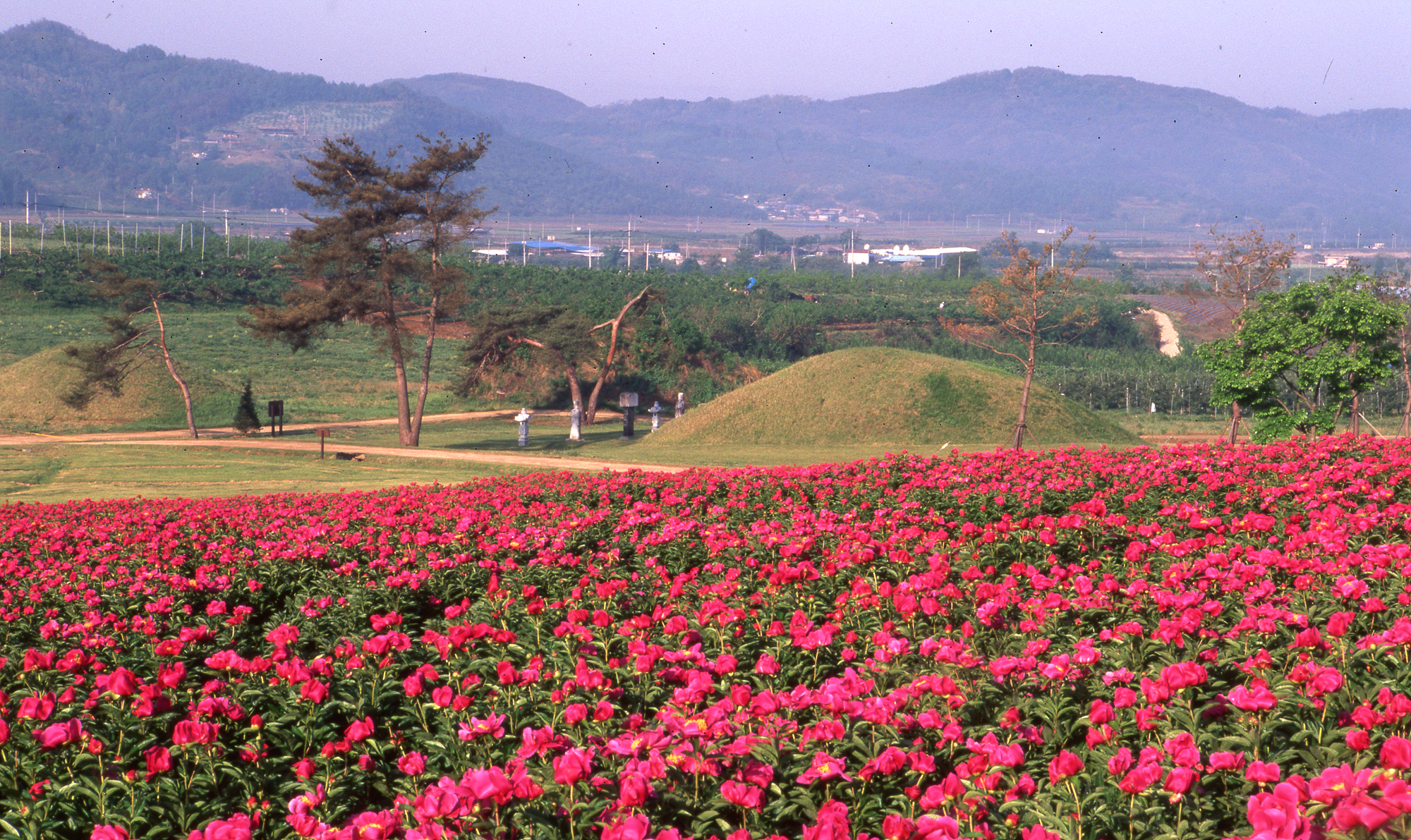 다운로드 불가 이미지