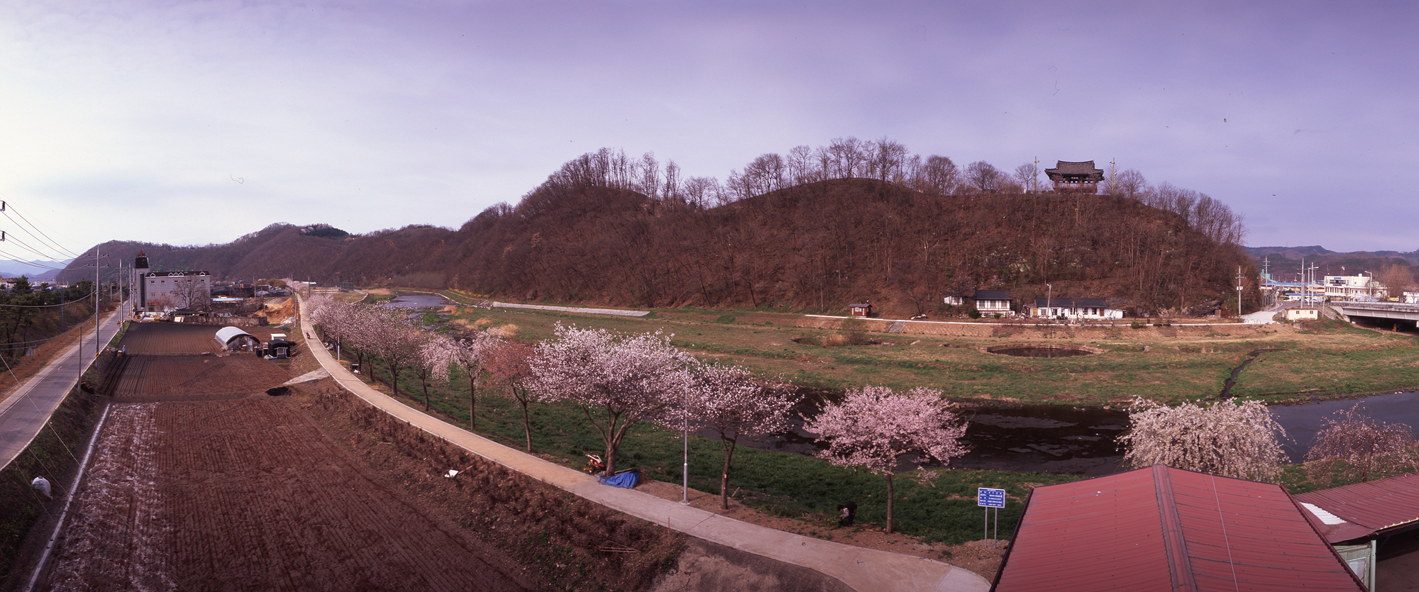 다운로드 불가 이미지