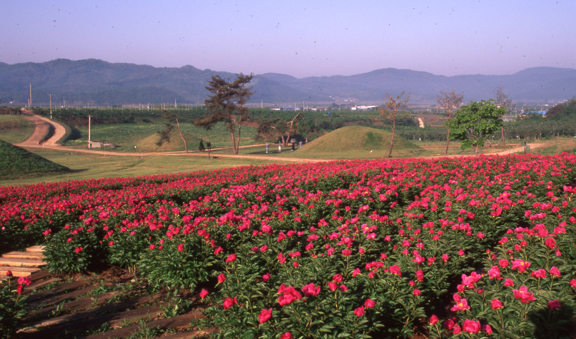 다운로드 불가 이미지