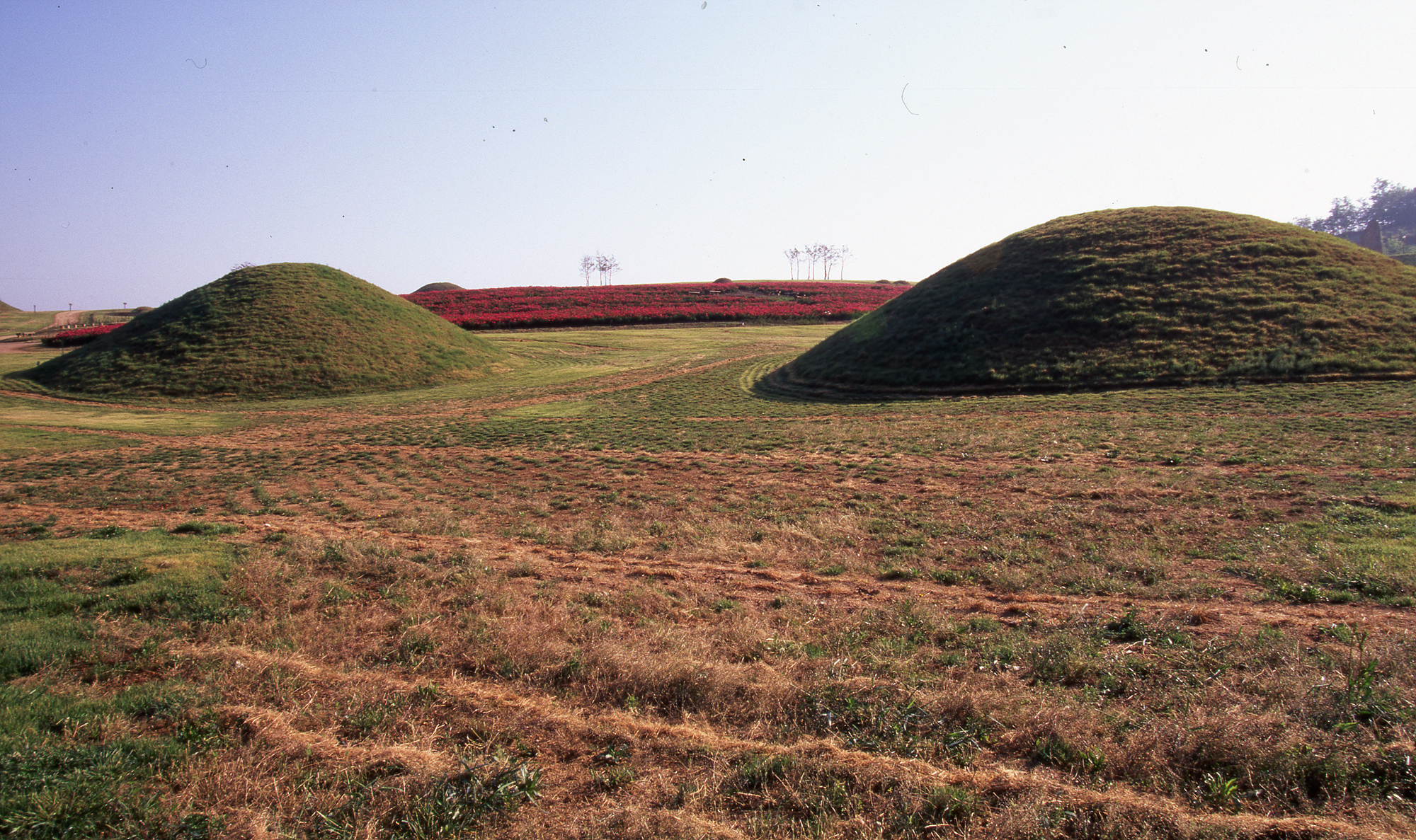 다운로드 불가 이미지