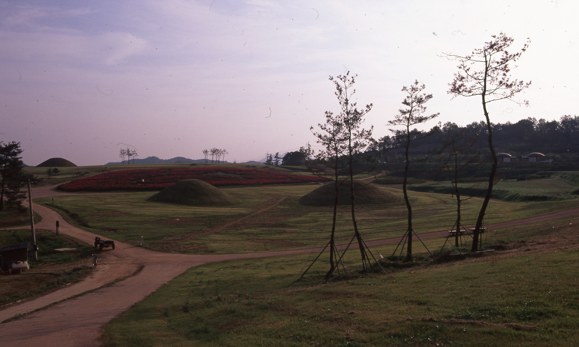 다운로드 불가 이미지