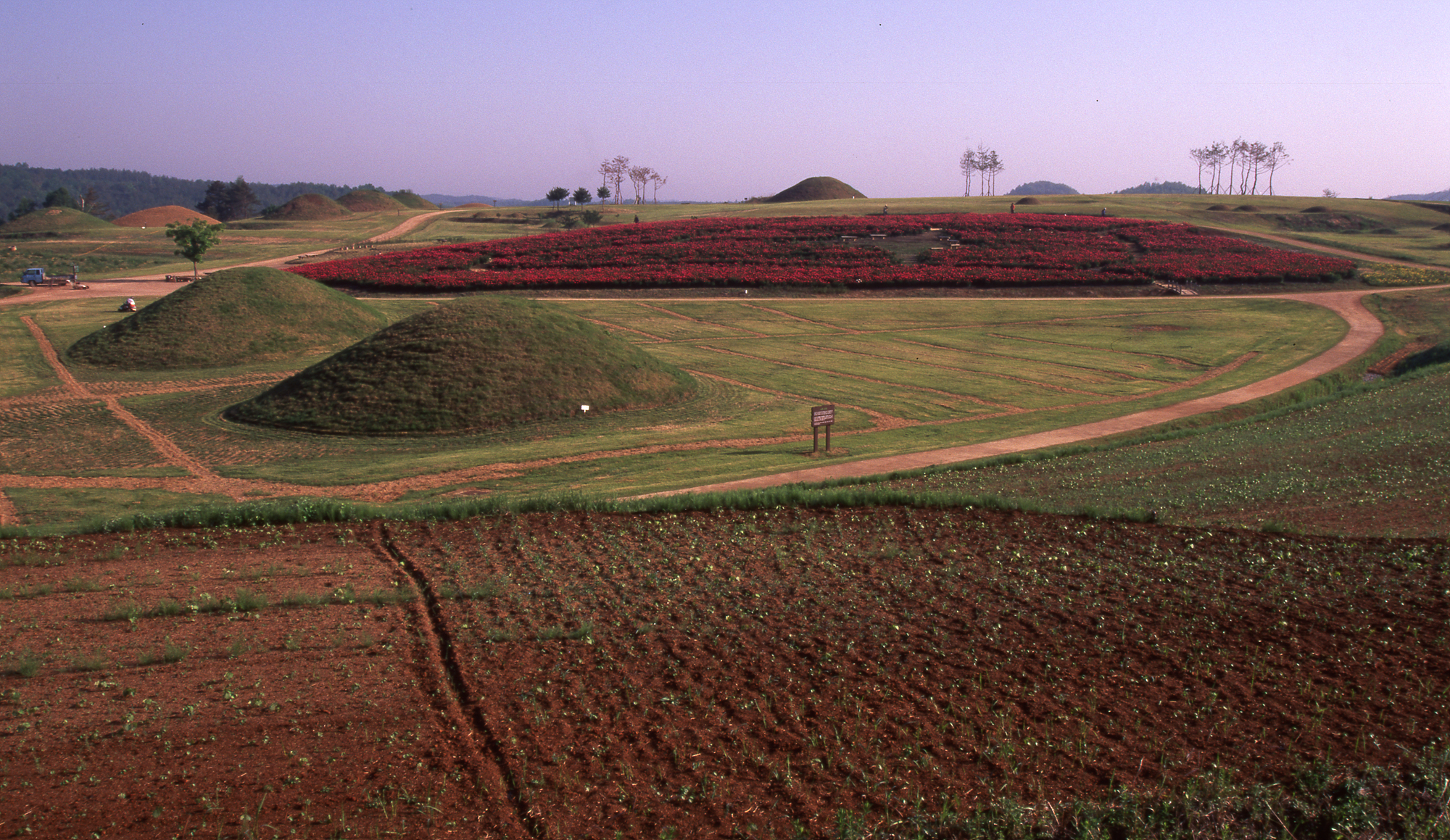 다운로드 불가 이미지