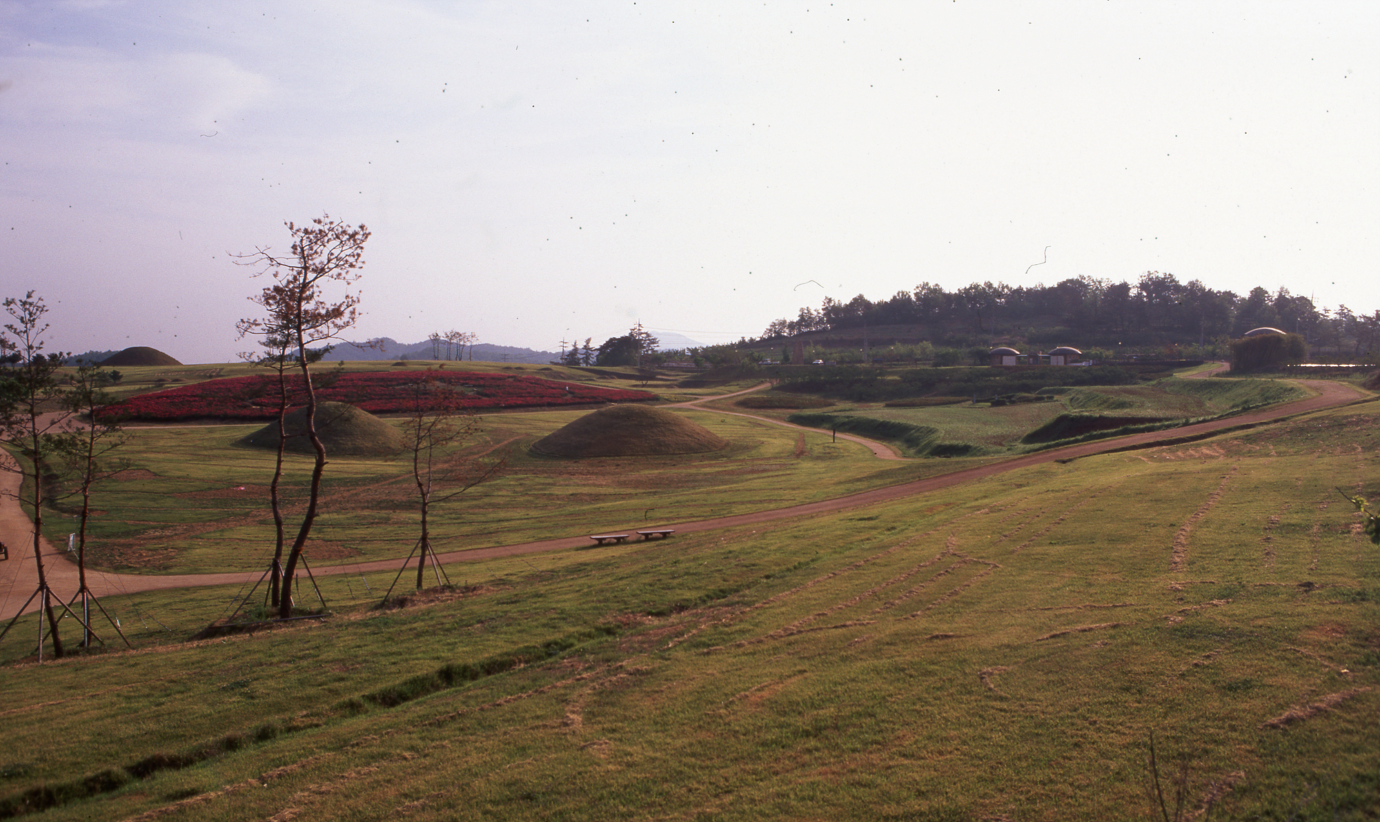 다운로드 불가 이미지