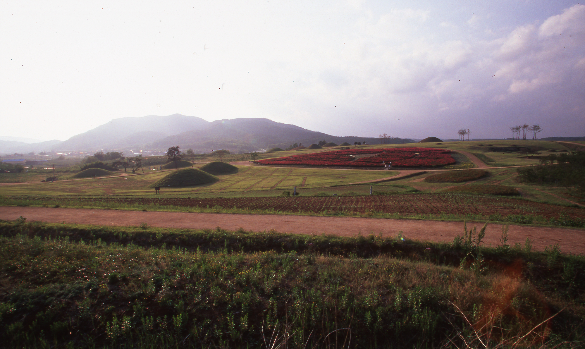다운로드 불가 이미지