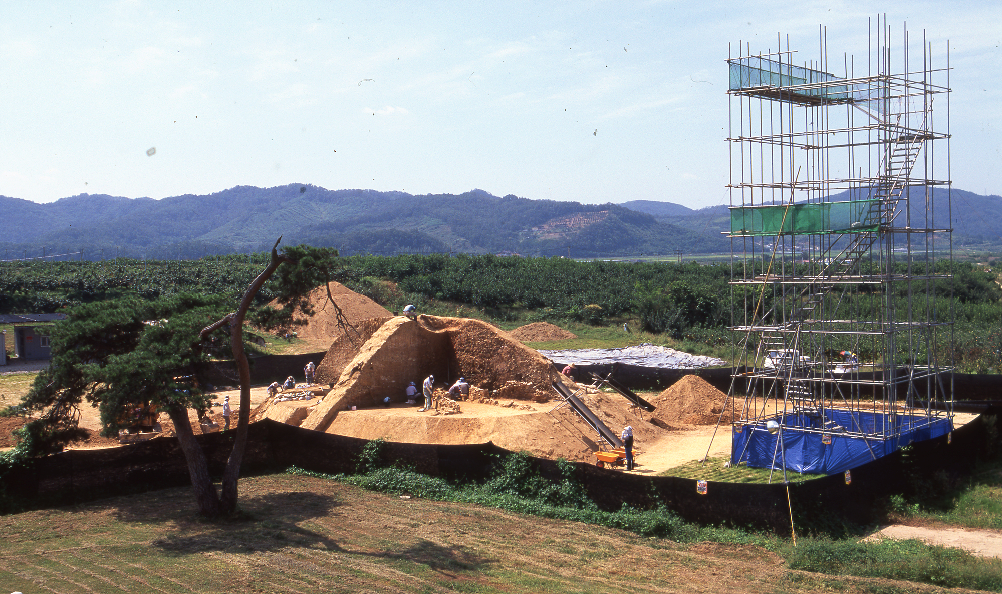 다운로드 불가 이미지