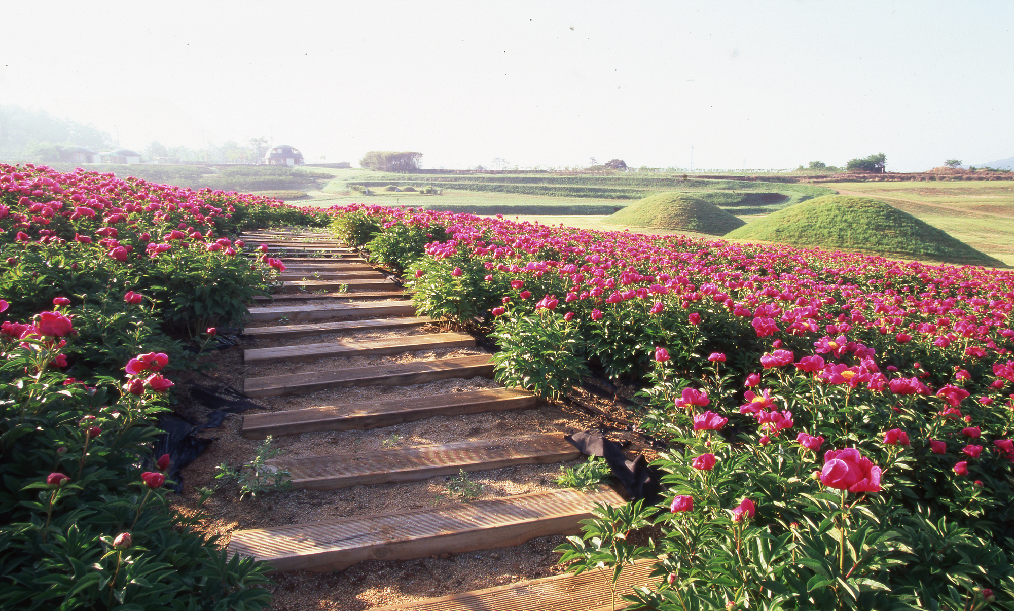 다운로드 불가 이미지