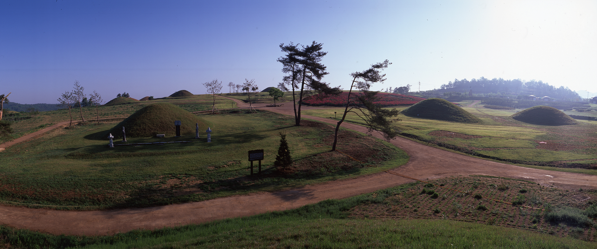 다운로드 불가 이미지