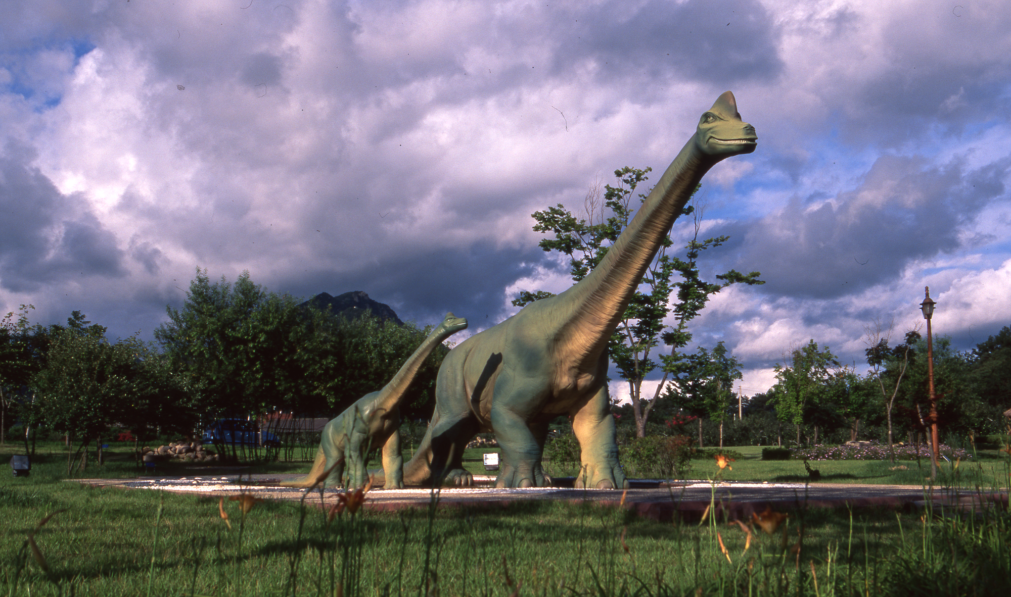 다운로드 불가 이미지