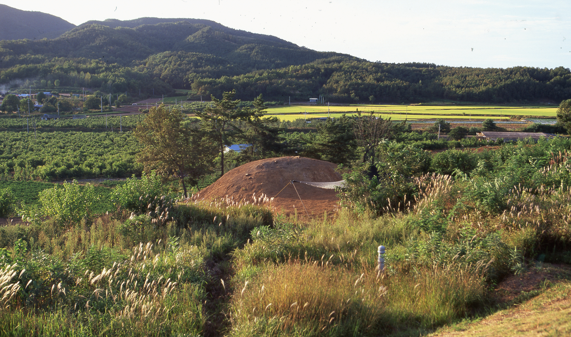다운로드 불가 이미지