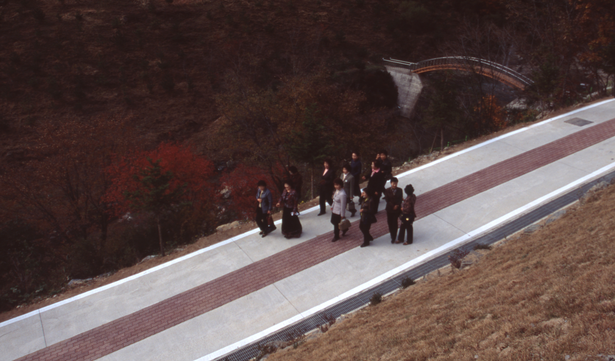 다운로드 불가 이미지