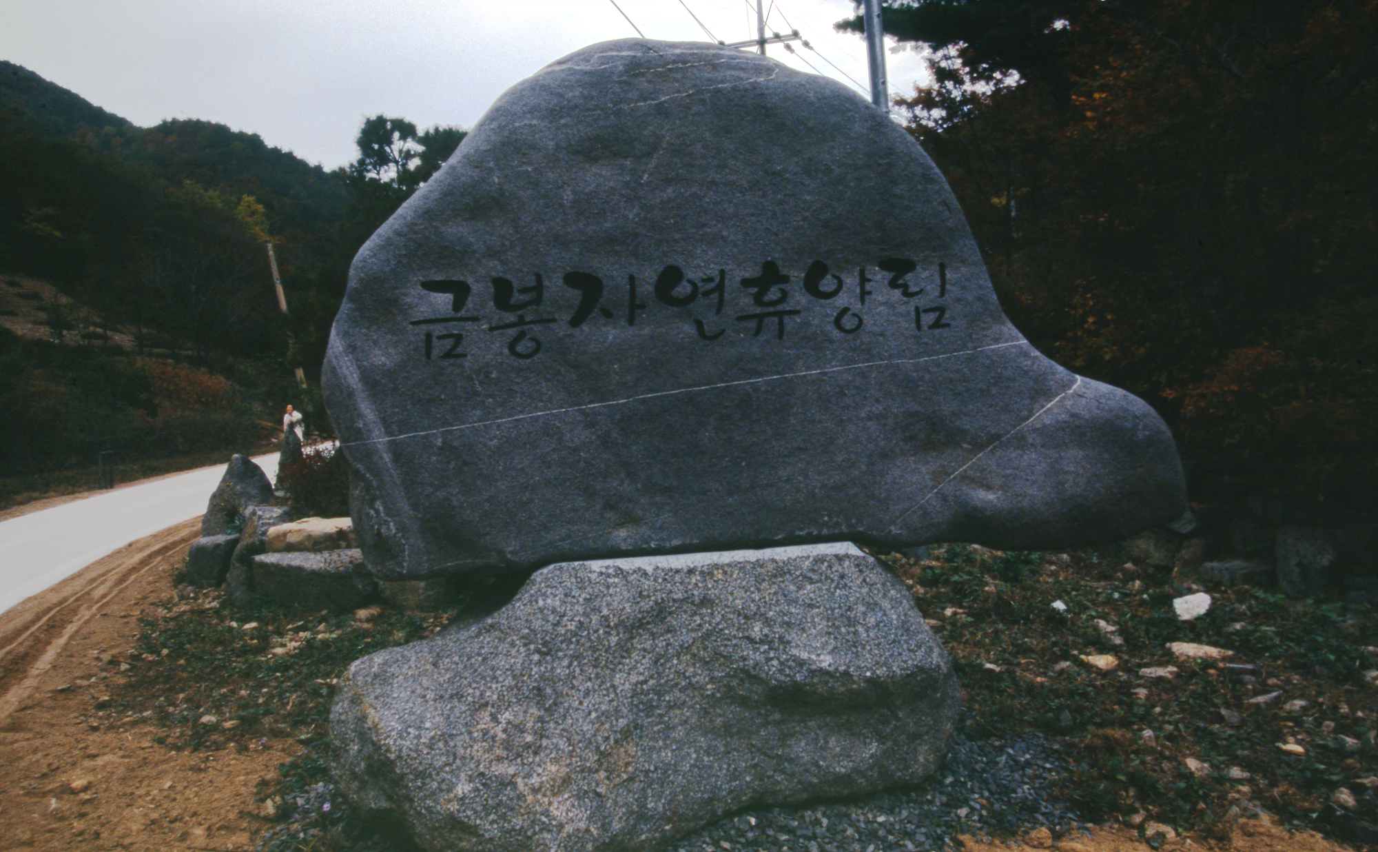 다운로드 불가 이미지