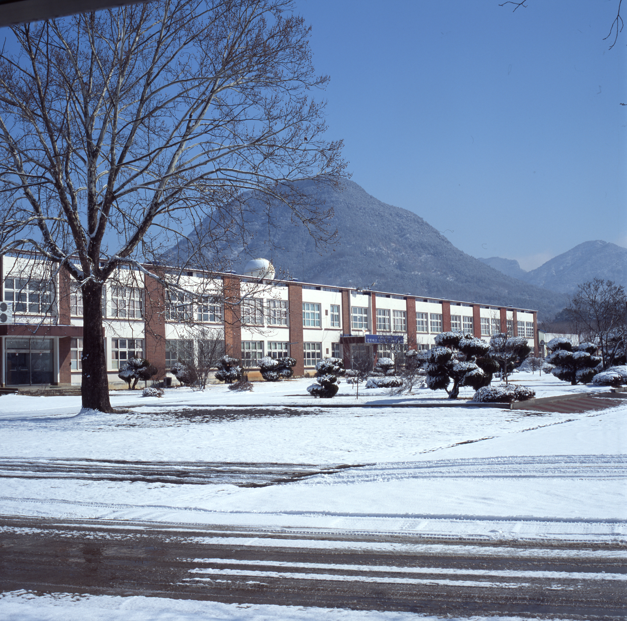 다운로드 불가 이미지