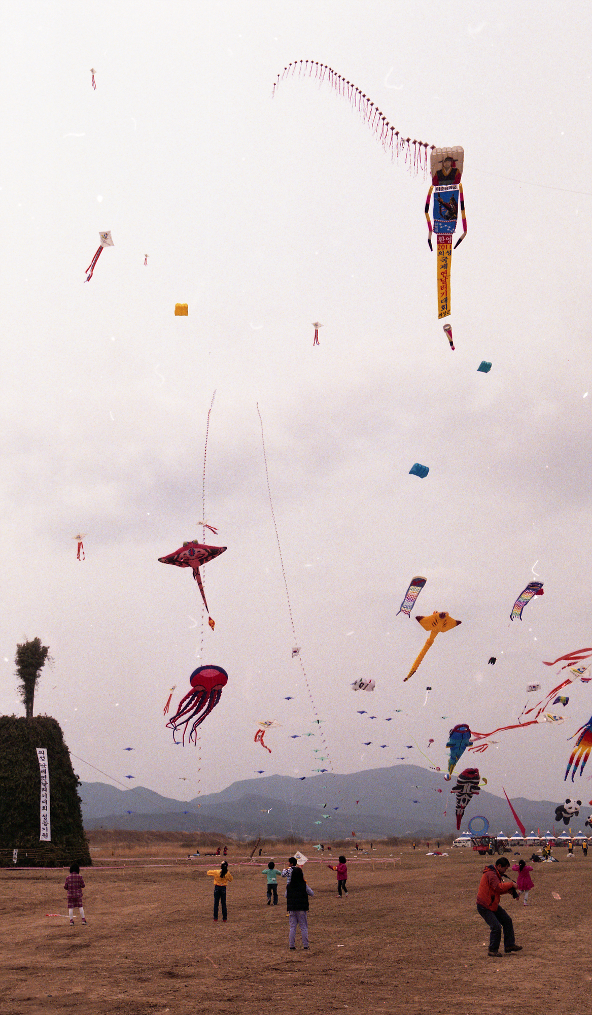 다운로드 불가 이미지