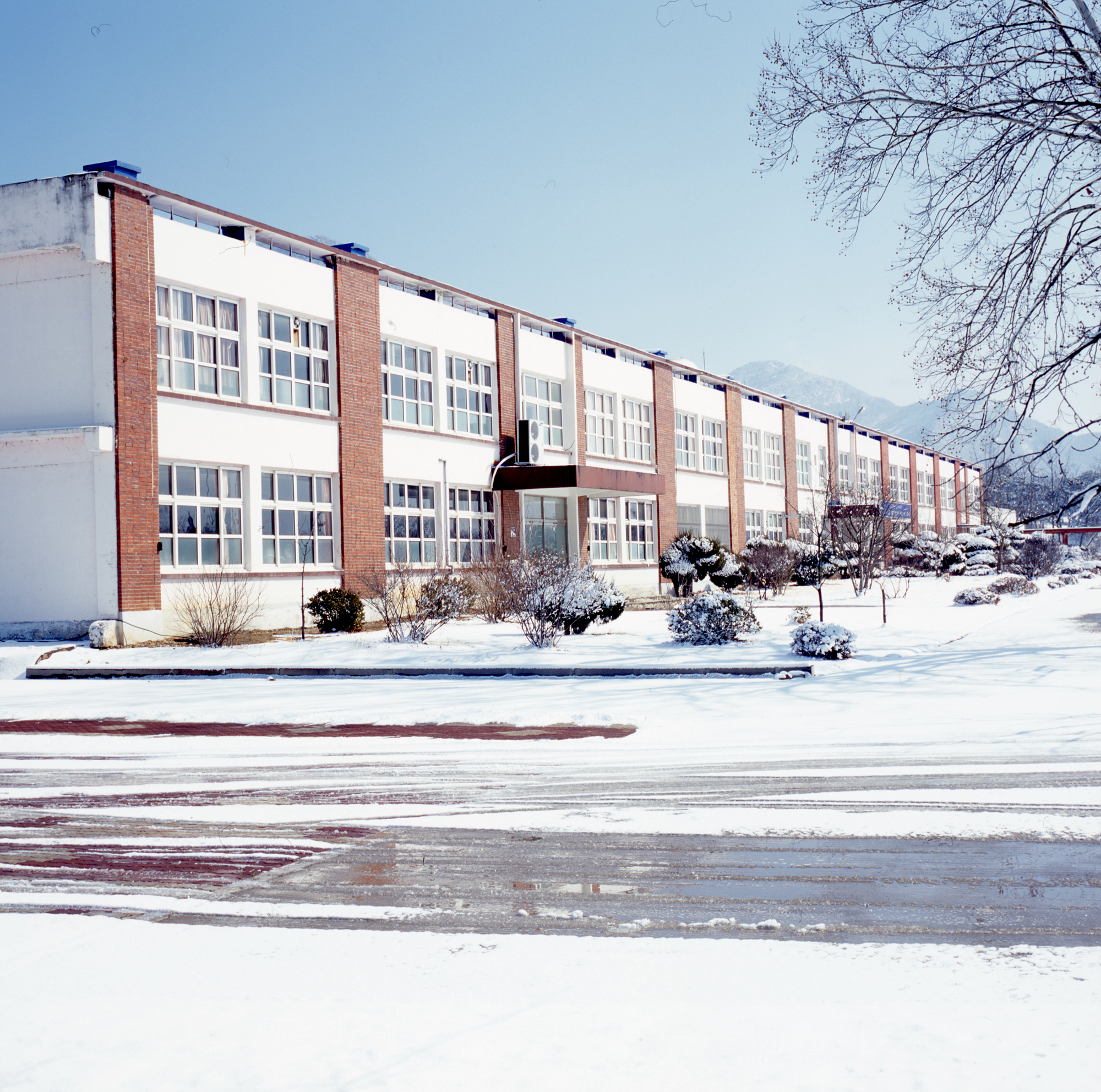 다운로드 불가 이미지