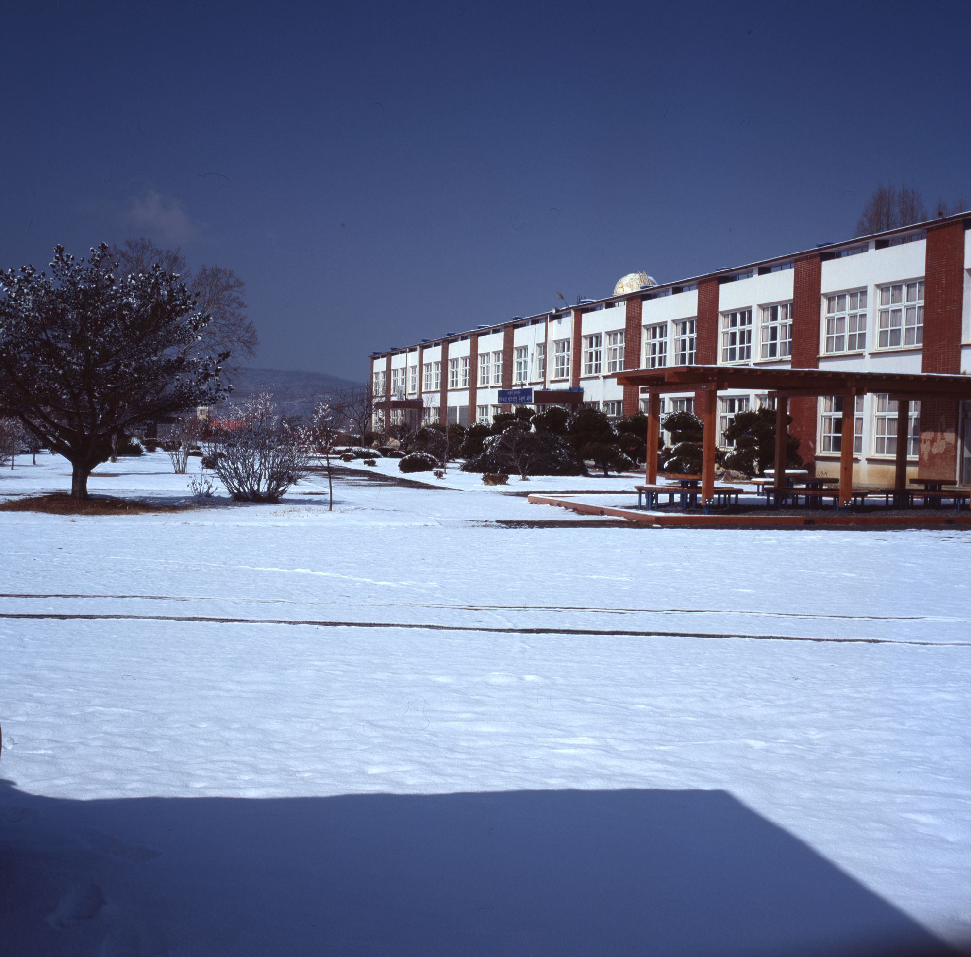 다운로드 불가 이미지