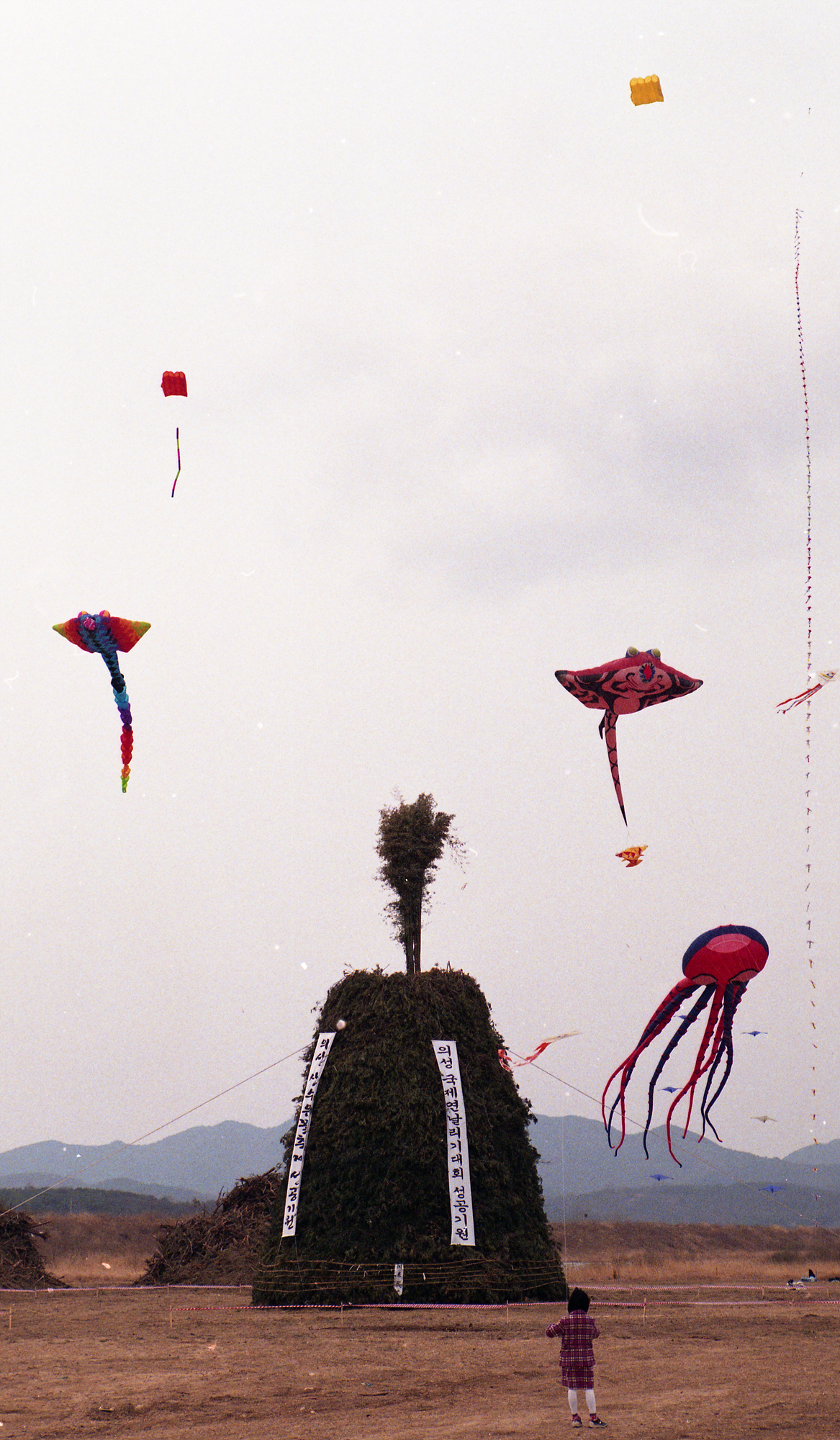 다운로드 불가 이미지