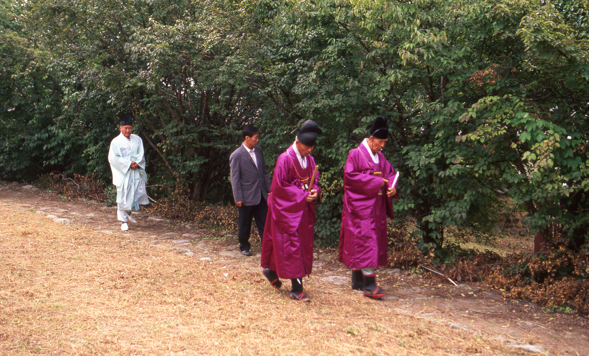 다운로드 불가 이미지