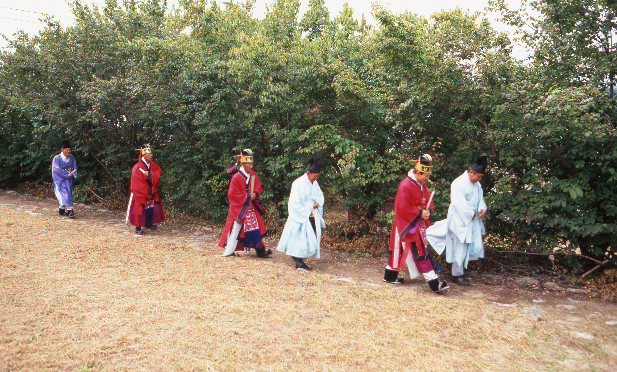 다운로드 불가 이미지