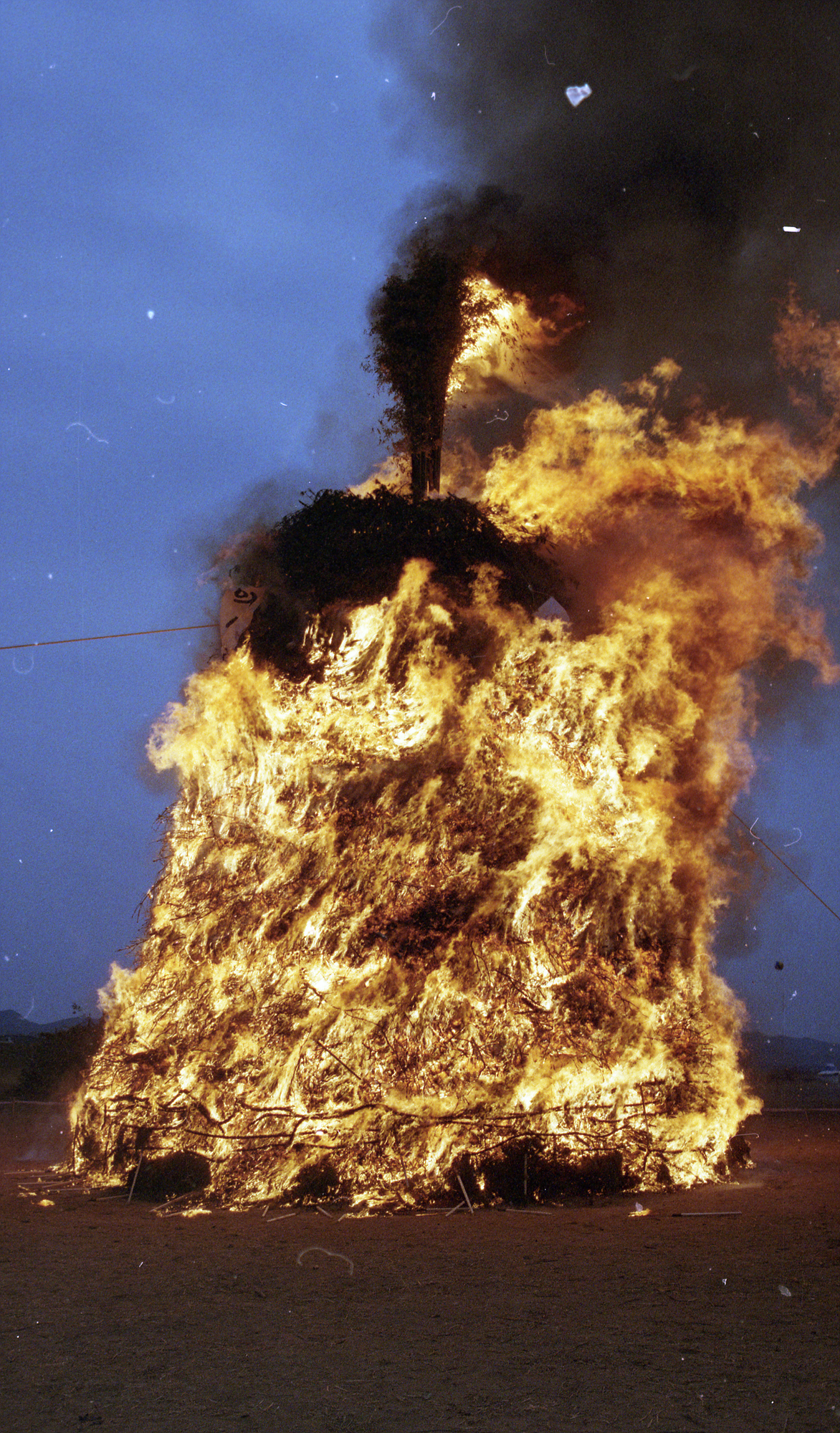 다운로드 불가 이미지