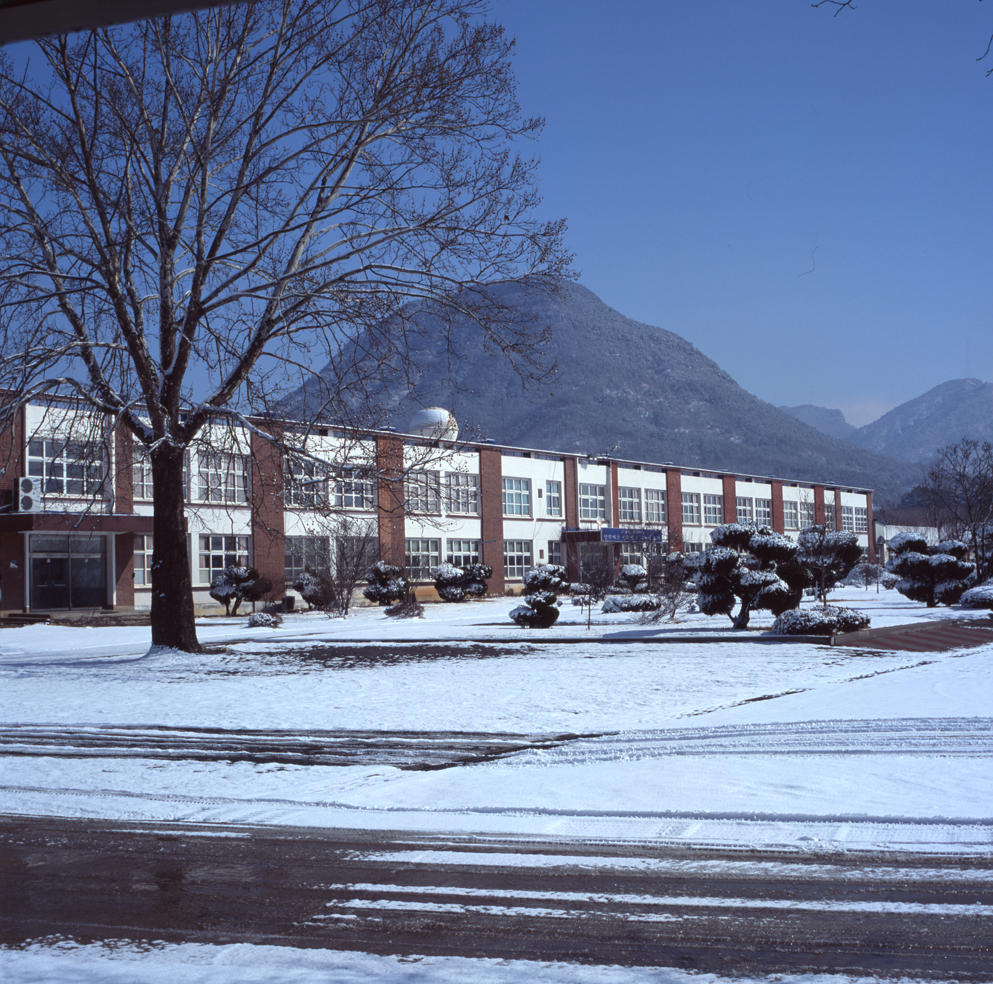 다운로드 불가 이미지