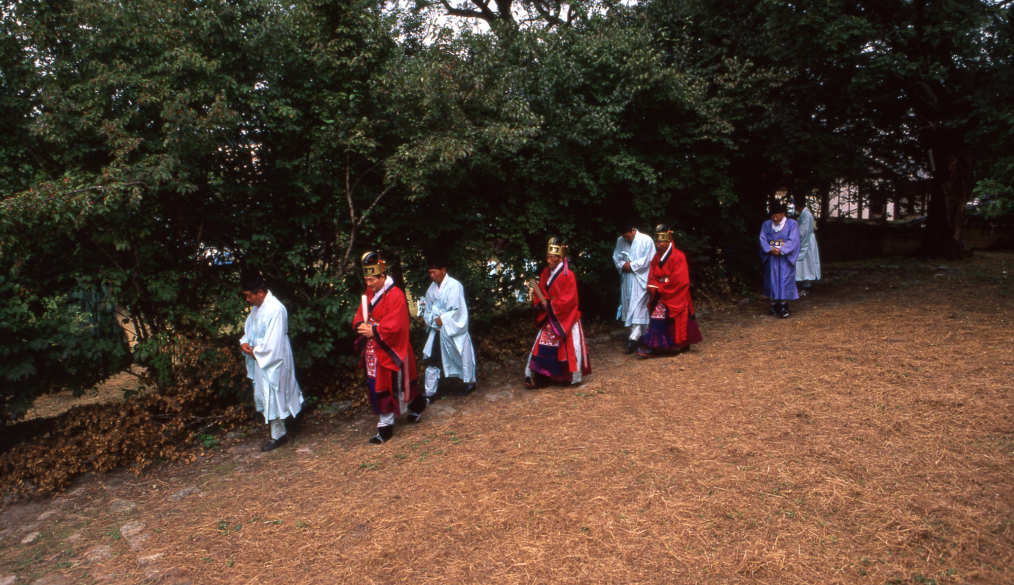 다운로드 불가 이미지