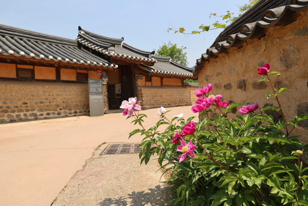 산운마을 이미지