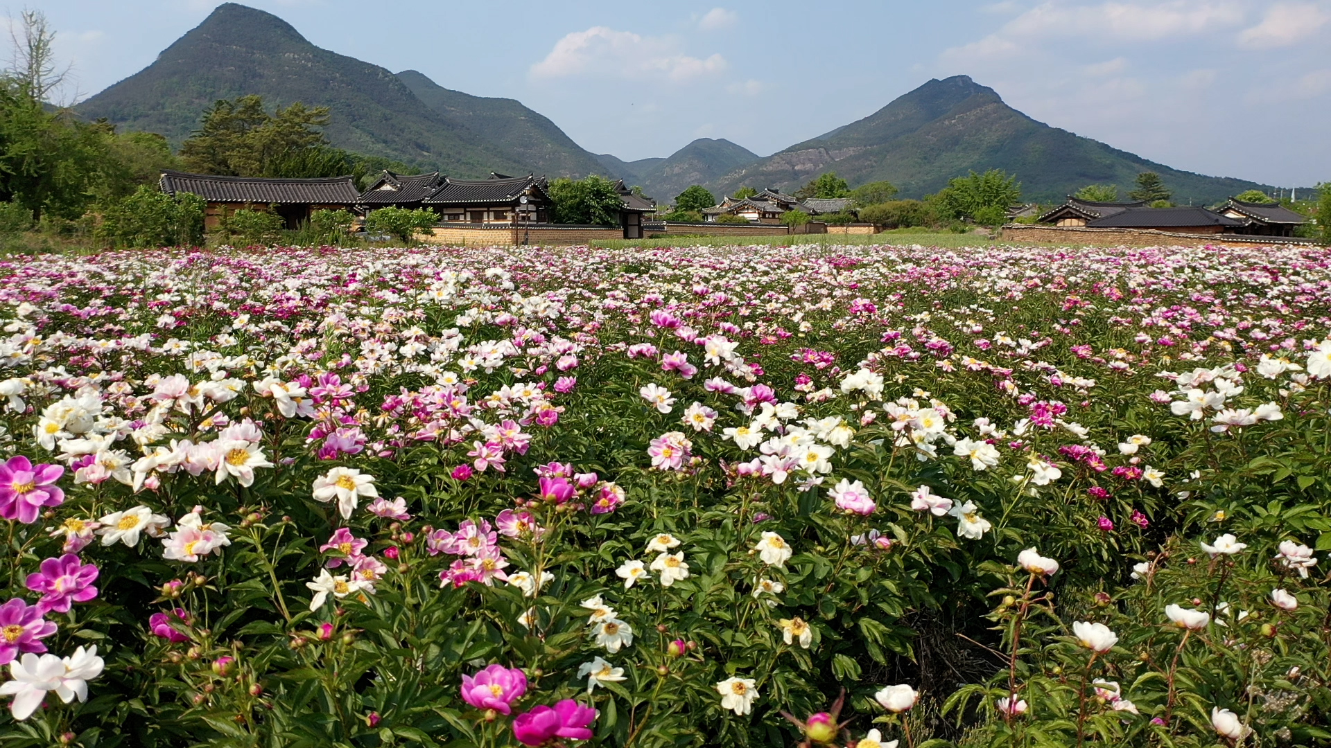 산운마을 이미지