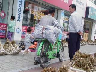 마늘장의 풍경