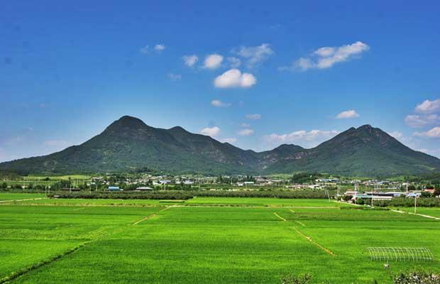 금성산2.jpg
