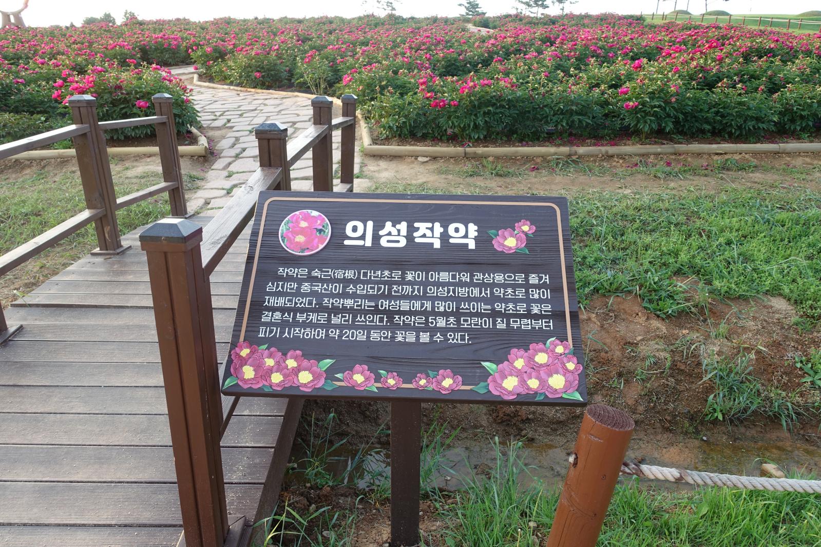 DSC09941 (3).JPG