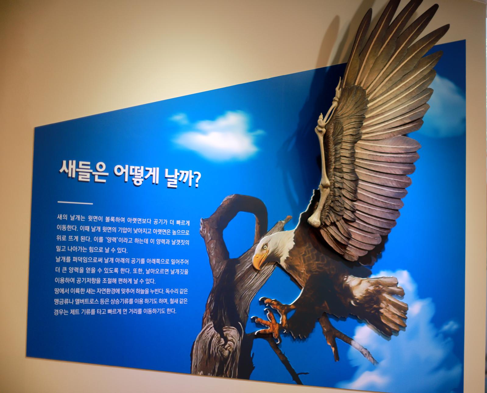 전시관 (6).JPG